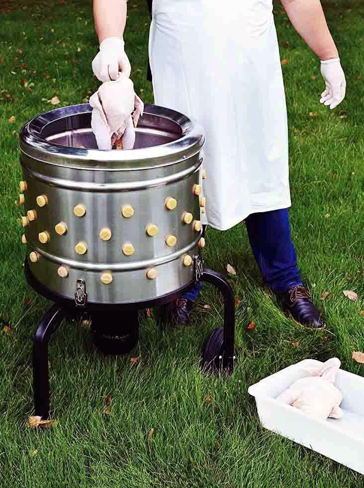 gà đá bán,Giới Thiệu Chi Tiết Độ C Gà Đá Bán gà đá bán,Giới Thiệu Chi Tiết Độ C Gà Đá Bán
