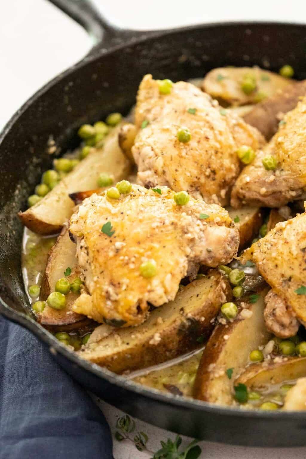 gà đá cựa sắt thomo gà đá cựa sắt thomo