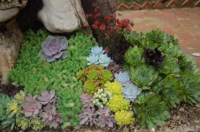 đá gà cựa sắt ngày 07 4 2018,Đá gà cựa sắt ngày 07/04/2018: Thứ hai – Chi tiết độ c giới thiệu bài viết đá gà cựa sắt ngày 07 4 2018,Đá gà cựa sắt ngày 07/04/2018: Thứ hai – Chi tiết độ c giới thiệu bài viết