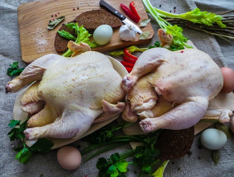 cách chăm gà sau khi đá về,Cách Chăm Gà Sau Khi Đá Về cách chăm gà sau khi đá về,Cách Chăm Gà Sau Khi Đá Về