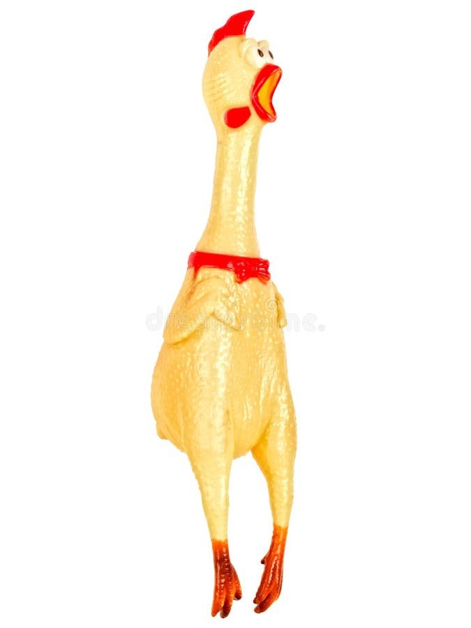 đường dây nóng báo đá gà