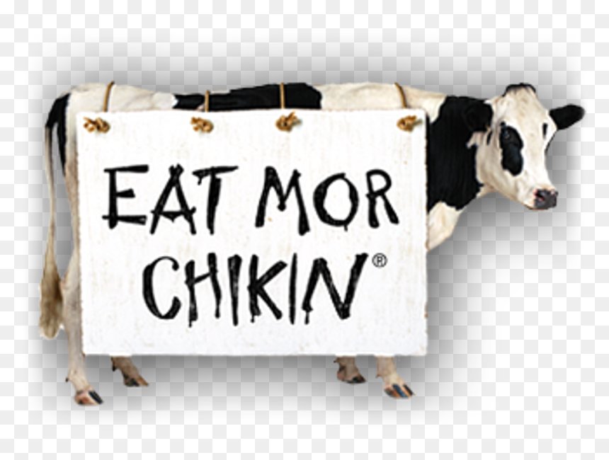 đá gà thomo bairdisd,Giới Thiệu Về Đá Gà Thomo Bairdisd đá gà thomo bairdisd,Giới Thiệu Về Đá Gà Thomo Bairdisd